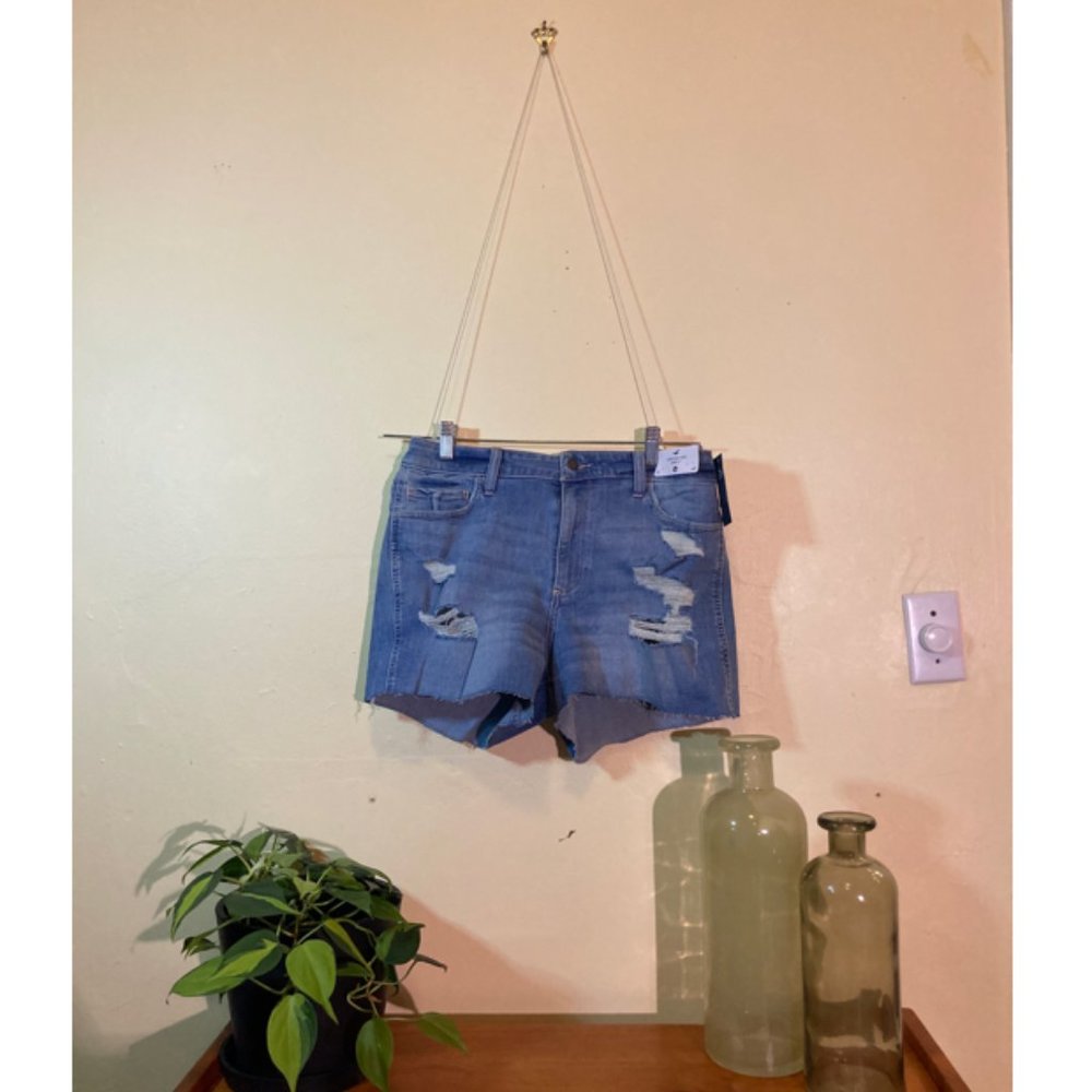 Hollister Distressed NWT Jean High Rise Shorts Size 13 W 31 New With Tags
